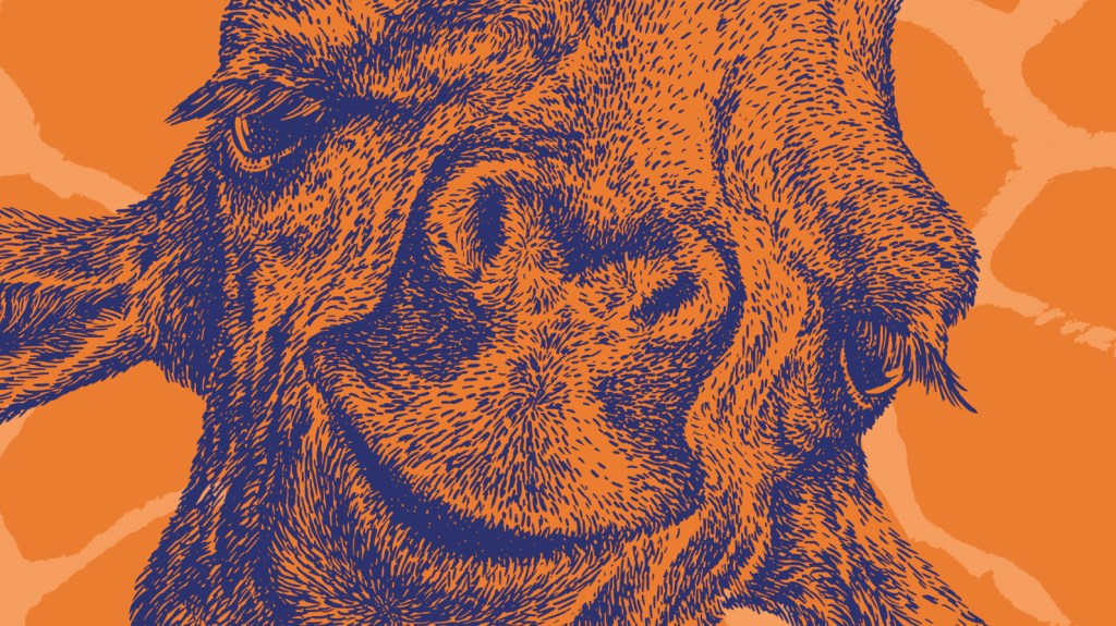 Jonas Jonasson und die&nbsp;Kunst