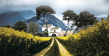 Die Schuld bestimmen&nbsp;wir